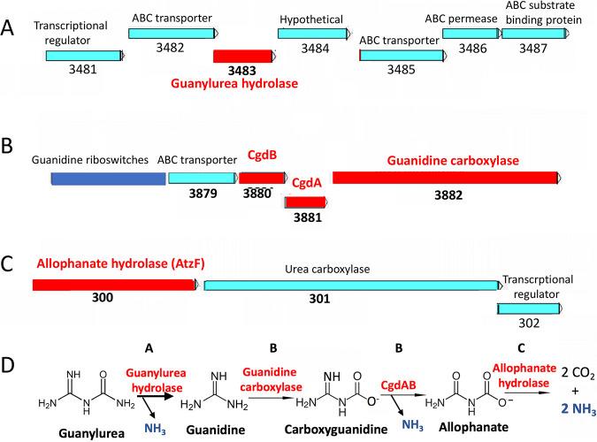 https://cdn.ncbi.nlm.nih.gov/pmc/blobs/9ebd/8208167/16b6599b6bf5/AEM.03003-20-f0002.jpg