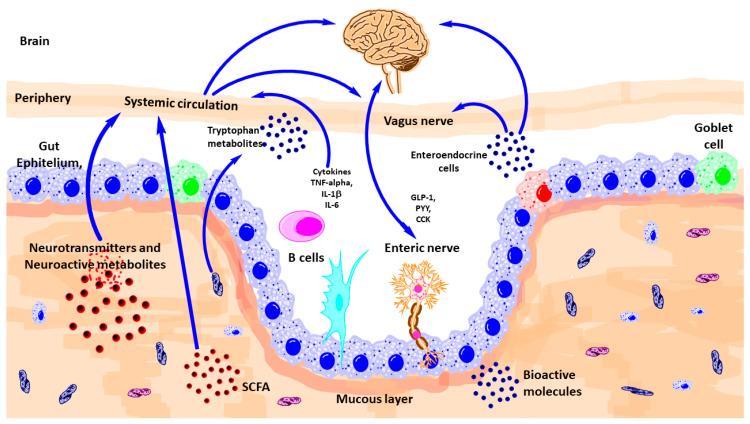 https://cdn.ncbi.nlm.nih.gov/pmc/blobs/9ec1/7910879/605f1dceb9ce/nutrients-13-00389-g002.jpg