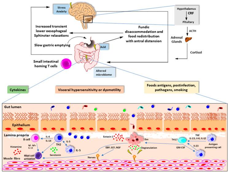 https://cdn.ncbi.nlm.nih.gov/pmc/blobs/9ec1/7910879/d0a77870eab8/nutrients-13-00389-g003.jpg