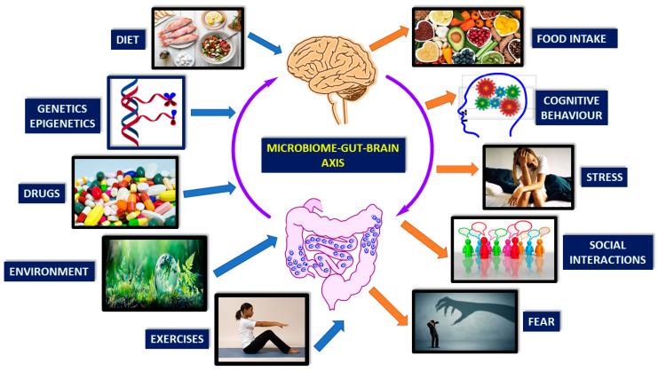 https://cdn.ncbi.nlm.nih.gov/pmc/blobs/9ec1/7910879/d6f58975f840/nutrients-13-00389-g001.jpg