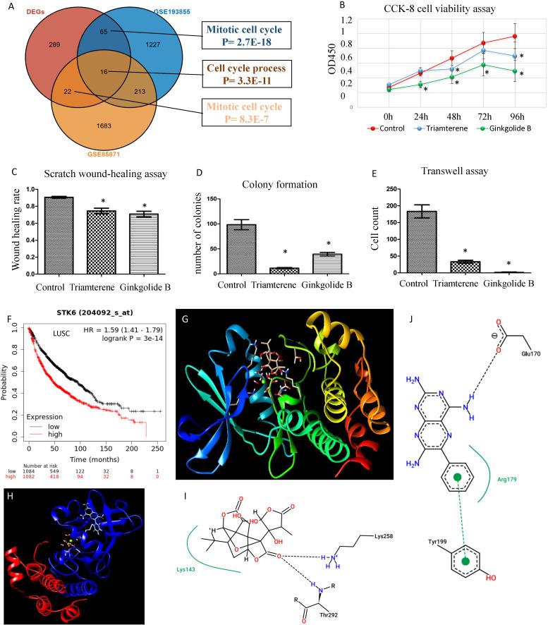 https://cdn.ncbi.nlm.nih.gov/pmc/blobs/9ec3/10850392/23c825e83218/fonc-14-1338634-g010.jpg
