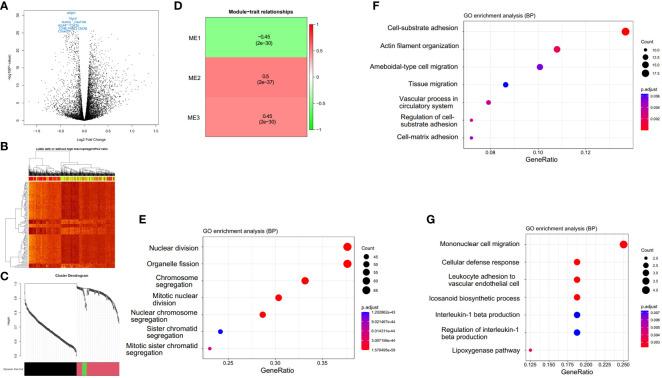 https://cdn.ncbi.nlm.nih.gov/pmc/blobs/9ec3/10850392/dade1bfe17d2/fonc-14-1338634-g006.jpg