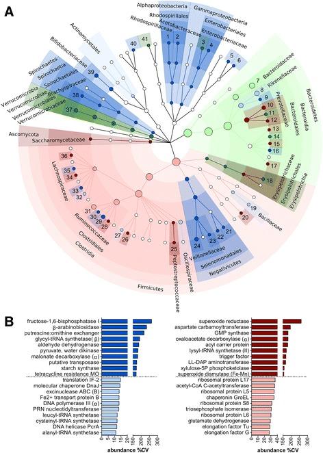 https://cdn.ncbi.nlm.nih.gov/pmc/blobs/9ec3/5513205/dc6ed67610ec/40168_2017_293_Fig4_HTML.jpg