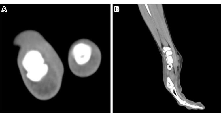 https://cdn.ncbi.nlm.nih.gov/pmc/blobs/9ec5/12310348/cae77f66151d/jprs-04-03-0145-g002.jpg