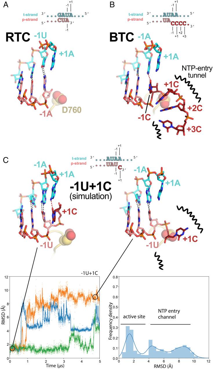 https://cdn.ncbi.nlm.nih.gov/pmc/blobs/9ec6/8126829/f37170bf4ee0/pnas.2102516118fig05.jpg