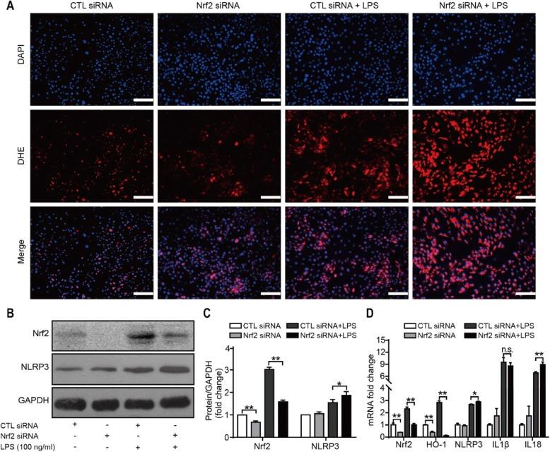 https://cdn.ncbi.nlm.nih.gov/pmc/blobs/9ec7/6929452/159e487982b3/13075_2019_2085_Fig9_HTML.jpg