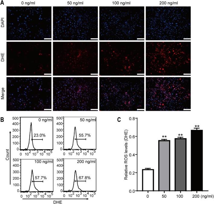 https://cdn.ncbi.nlm.nih.gov/pmc/blobs/9ec7/6929452/259ef3dccb9b/13075_2019_2085_Fig6_HTML.jpg