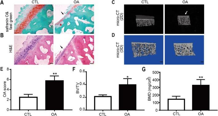 https://cdn.ncbi.nlm.nih.gov/pmc/blobs/9ec7/6929452/5d2747a4d372/13075_2019_2085_Fig1_HTML.jpg