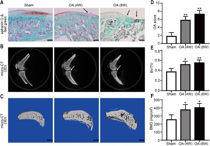 https://cdn.ncbi.nlm.nih.gov/pmc/blobs/9ec7/6929452/8f6fc6ca75f8/13075_2019_2085_Fig4_HTML.jpg