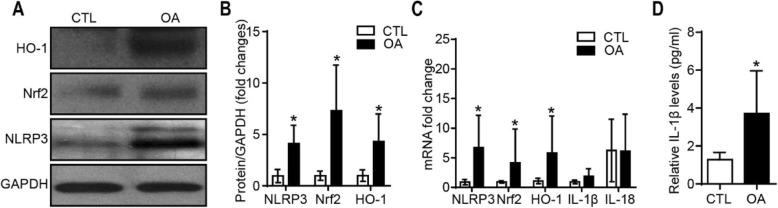 https://cdn.ncbi.nlm.nih.gov/pmc/blobs/9ec7/6929452/f02a98efe788/13075_2019_2085_Fig3_HTML.jpg