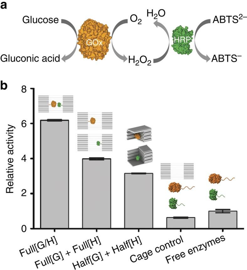 https://cdn.ncbi.nlm.nih.gov/pmc/blobs/9ec8/4749968/f0c66e7c96b2/ncomms10619-f3.jpg
