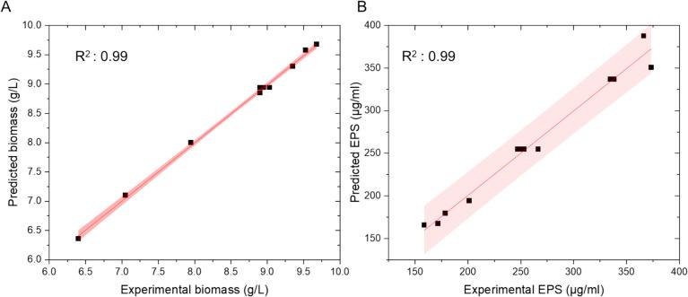 https://cdn.ncbi.nlm.nih.gov/pmc/blobs/9ec9/11785610/7ab76880d78b/11274_2025_4273_Fig1_HTML.jpg