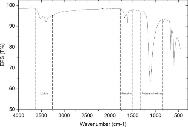 https://cdn.ncbi.nlm.nih.gov/pmc/blobs/9ec9/11785610/a18785c608d1/11274_2025_4273_Fig8_HTML.jpg