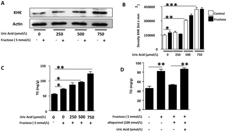 https://cdn.ncbi.nlm.nih.gov/pmc/blobs/9ec9/3480441/05d218461f13/pone.0047948.g007.jpg