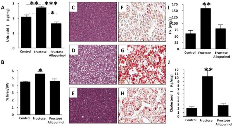 https://cdn.ncbi.nlm.nih.gov/pmc/blobs/9ec9/3480441/489f4f8d8d30/pone.0047948.g001.jpg