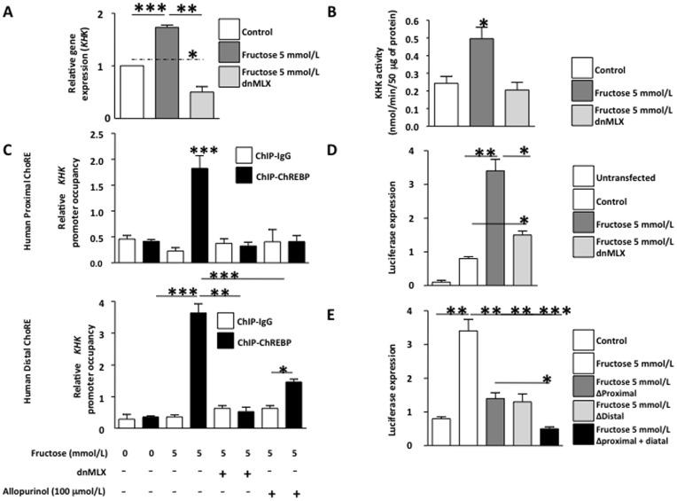 https://cdn.ncbi.nlm.nih.gov/pmc/blobs/9ec9/3480441/575066a40781/pone.0047948.g005.jpg