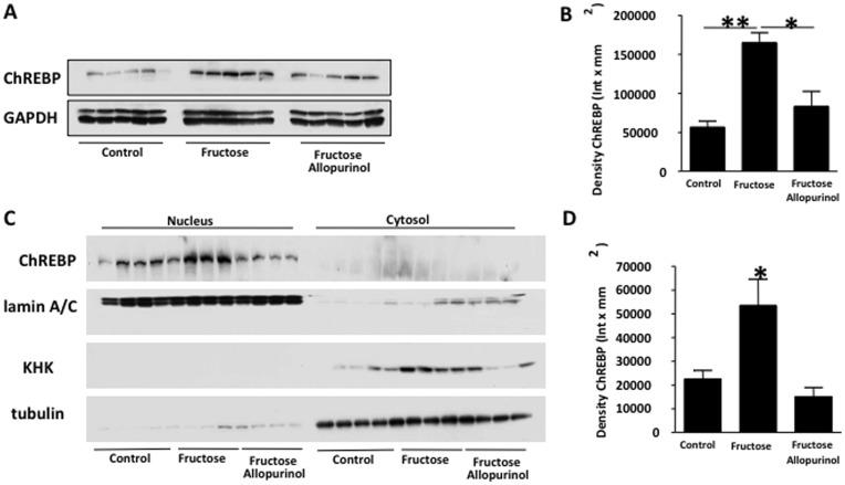 https://cdn.ncbi.nlm.nih.gov/pmc/blobs/9ec9/3480441/68f8bef854f5/pone.0047948.g006.jpg