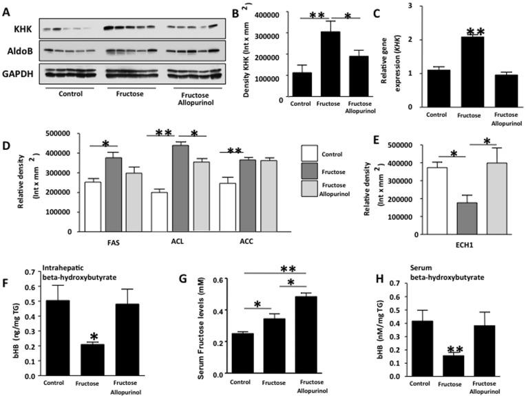 https://cdn.ncbi.nlm.nih.gov/pmc/blobs/9ec9/3480441/815ca641ab3e/pone.0047948.g002.jpg