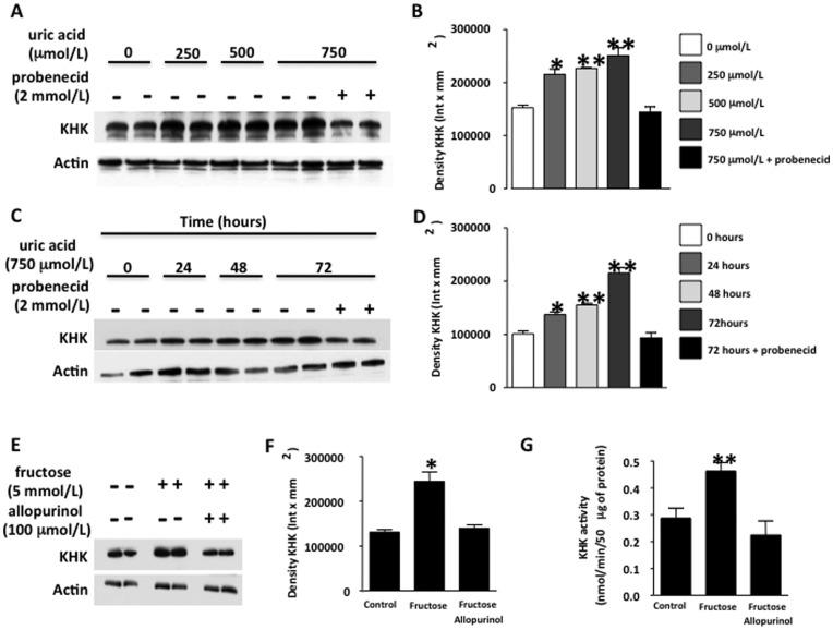 https://cdn.ncbi.nlm.nih.gov/pmc/blobs/9ec9/3480441/df7ee7729635/pone.0047948.g003.jpg