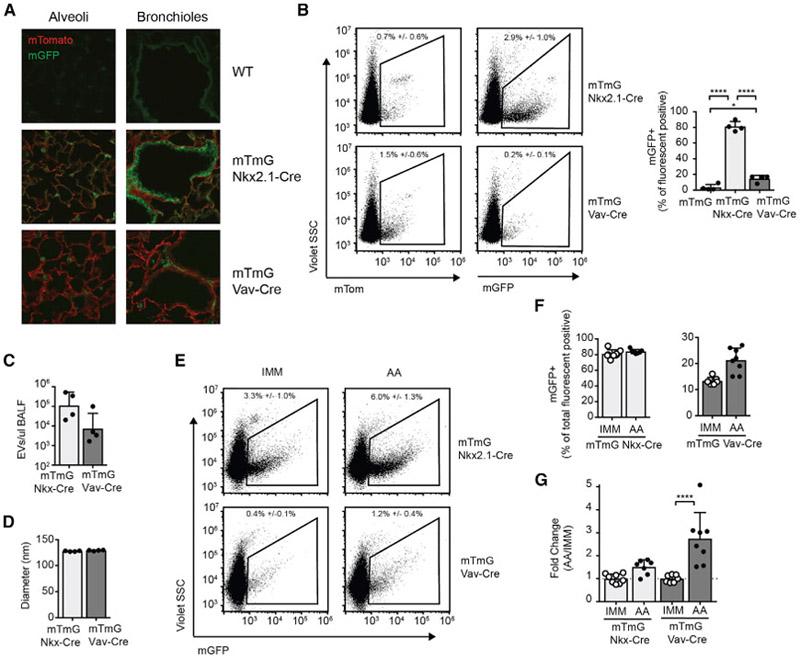 https://cdn.ncbi.nlm.nih.gov/pmc/blobs/9ec9/6365014/181e10928fdf/nihms-1519372-f0007.jpg