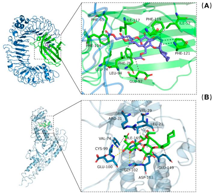 https://cdn.ncbi.nlm.nih.gov/pmc/blobs/9ec9/9370320/a212534d2d34/molecules-27-05037-g008.jpg
