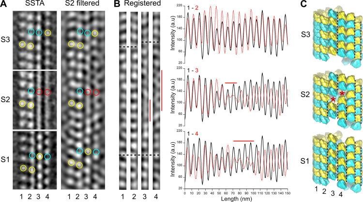 https://cdn.ncbi.nlm.nih.gov/pmc/blobs/9ec9/9788831/b6e4e907ba96/elife-83021-fig4.jpg