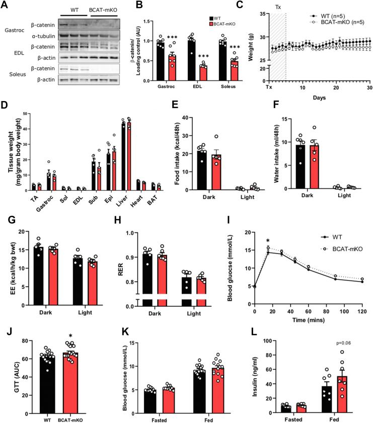 https://cdn.ncbi.nlm.nih.gov/pmc/blobs/9eca/7568189/0721ba6d0639/gr1.jpg