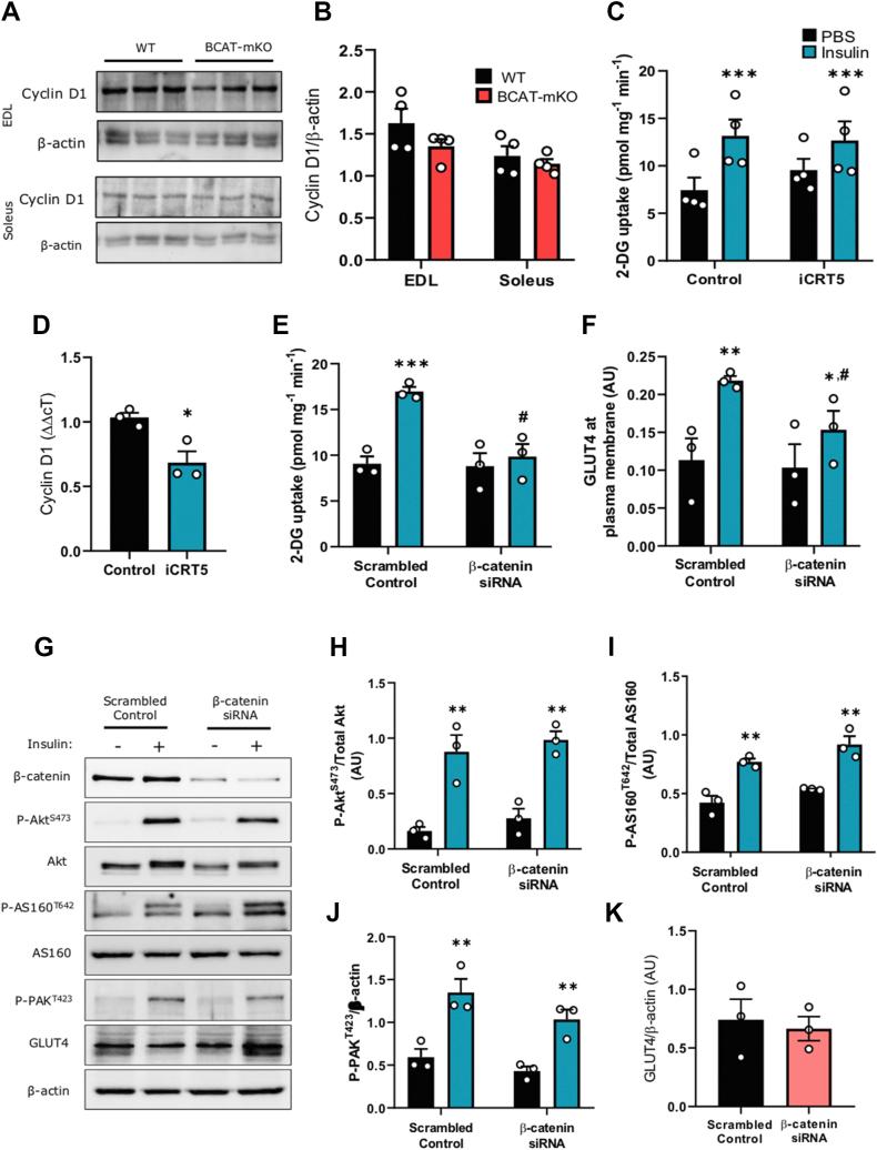 https://cdn.ncbi.nlm.nih.gov/pmc/blobs/9eca/7568189/36c2900a57ca/gr3.jpg