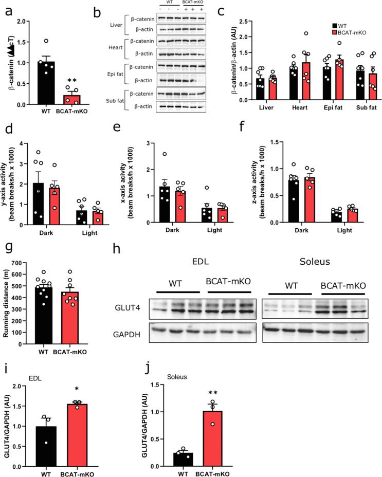https://cdn.ncbi.nlm.nih.gov/pmc/blobs/9eca/7568189/37e871e63f62/figs1.jpg