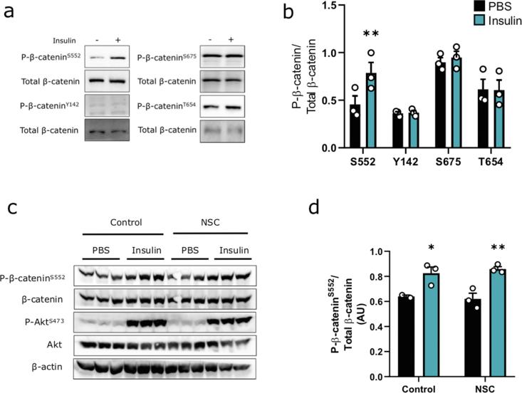 https://cdn.ncbi.nlm.nih.gov/pmc/blobs/9eca/7568189/52f430c7cf86/figs2.jpg