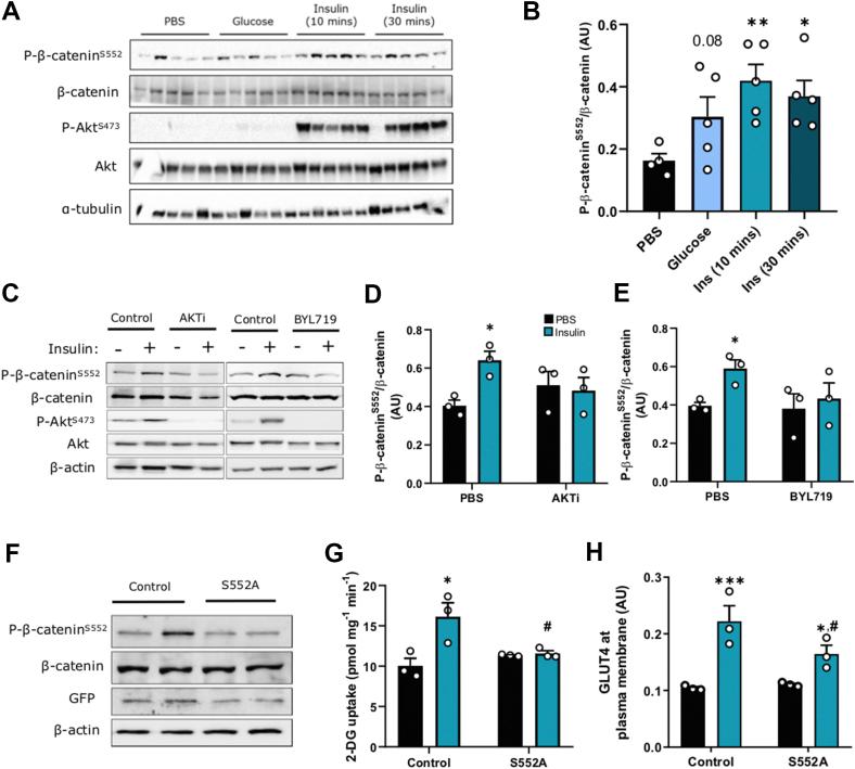 https://cdn.ncbi.nlm.nih.gov/pmc/blobs/9eca/7568189/7ce2067a53f0/gr4.jpg