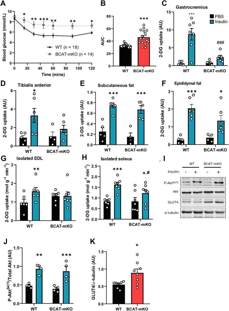 https://cdn.ncbi.nlm.nih.gov/pmc/blobs/9eca/7568189/df36b518c472/gr2.jpg