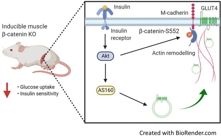 https://cdn.ncbi.nlm.nih.gov/pmc/blobs/9eca/7568189/fa71f4a0d262/fx1.jpg