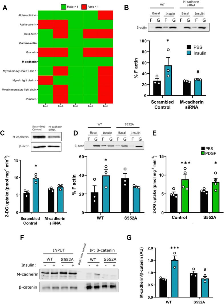 https://cdn.ncbi.nlm.nih.gov/pmc/blobs/9eca/7568189/fe87a08383ca/gr5.jpg
