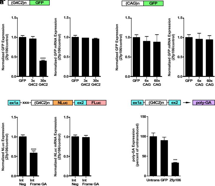 https://cdn.ncbi.nlm.nih.gov/pmc/blobs/9ecb/11295049/6634a12edc5e/pnas.2220020121fig01.jpg
