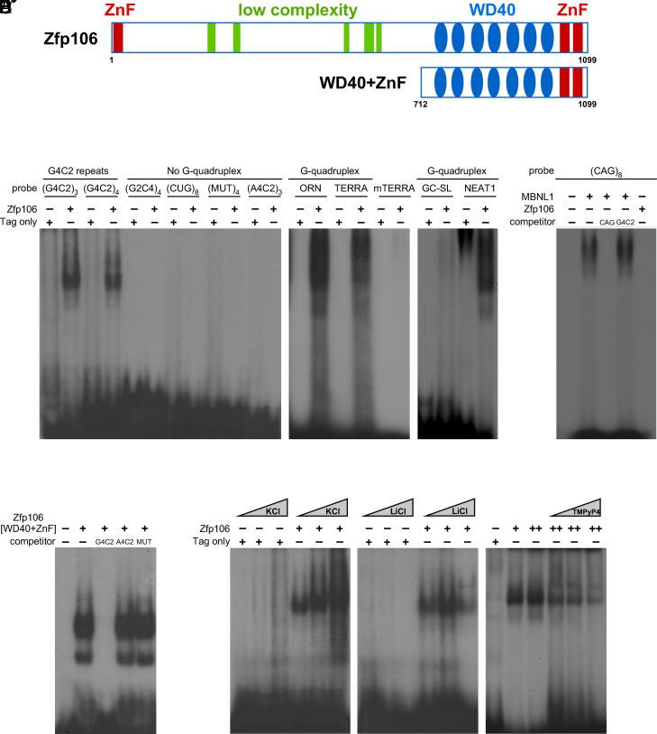 https://cdn.ncbi.nlm.nih.gov/pmc/blobs/9ecb/11295049/8b141d4f89bb/pnas.2220020121fig03.jpg