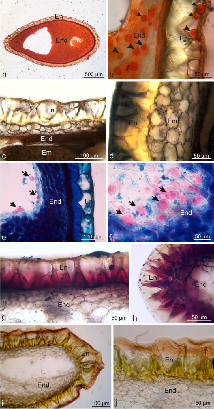 https://cdn.ncbi.nlm.nih.gov/pmc/blobs/9ecb/6208826/94e3807f62ae/709_2018_1277_Fig6_HTML.jpg