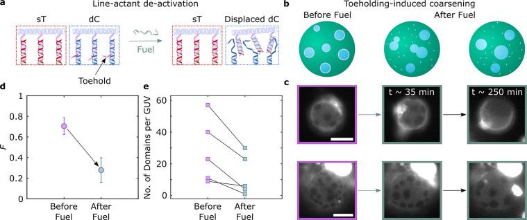 https://cdn.ncbi.nlm.nih.gov/pmc/blobs/9ecc/10214452/a54c739bf440/ja3c01493_0005.jpg