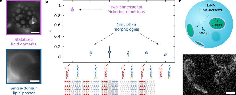 https://cdn.ncbi.nlm.nih.gov/pmc/blobs/9ecc/10214452/a5f6b550e964/ja3c01493_0003.jpg