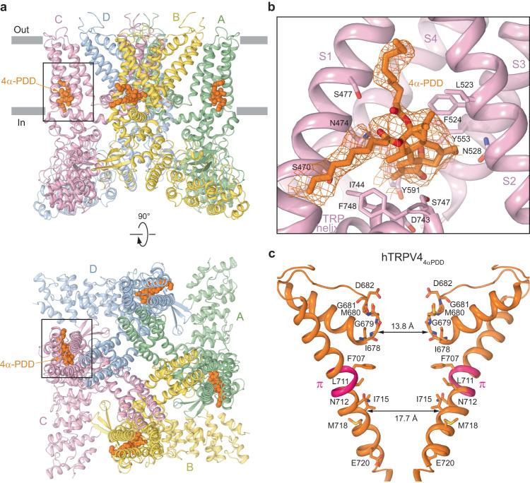 https://cdn.ncbi.nlm.nih.gov/pmc/blobs/9ecc/10290124/c1106b2b4c25/41467_2023_39346_Fig4_HTML.jpg