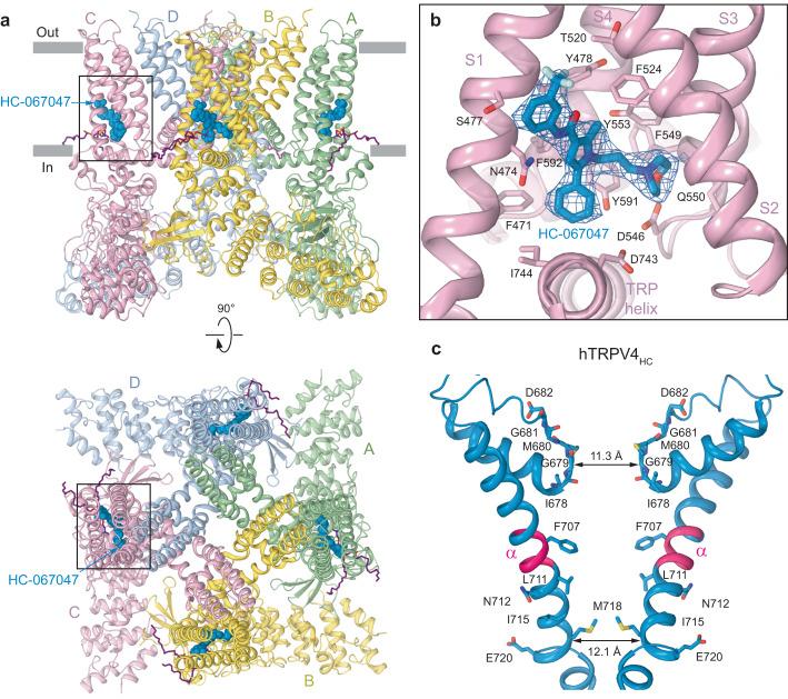 https://cdn.ncbi.nlm.nih.gov/pmc/blobs/9ecc/10290124/ed15758167ac/41467_2023_39346_Fig5_HTML.jpg