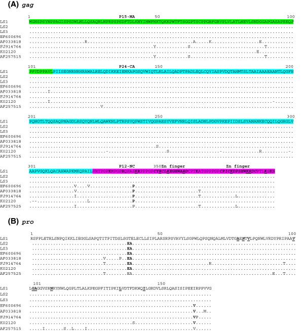 https://cdn.ncbi.nlm.nih.gov/pmc/blobs/9ecc/3618307/4029c5bfb438/1297-9716-44-19-2.jpg