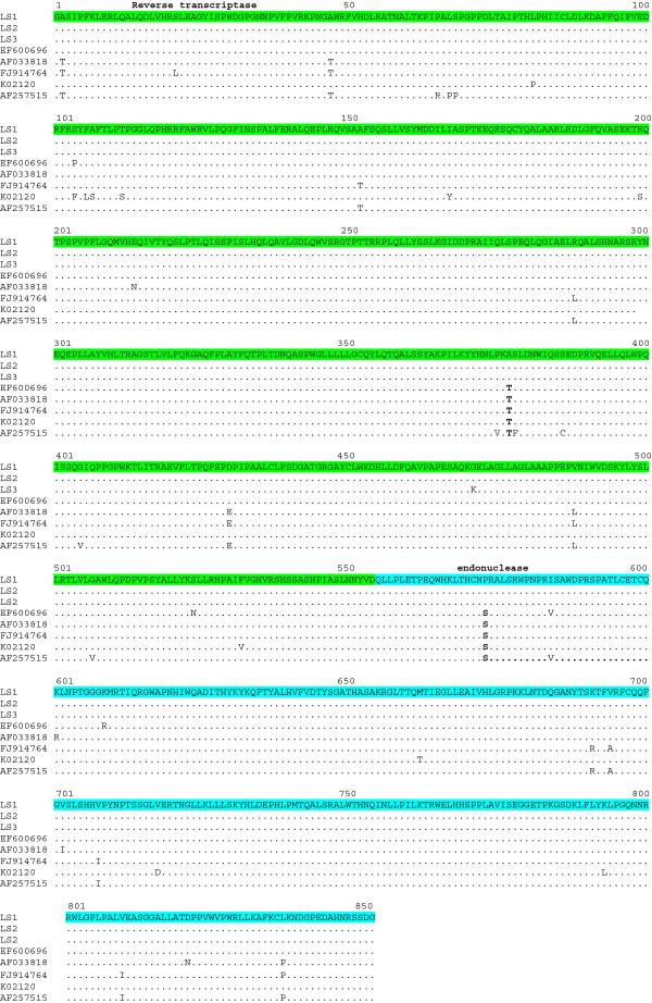 https://cdn.ncbi.nlm.nih.gov/pmc/blobs/9ecc/3618307/74b14681470d/1297-9716-44-19-3.jpg