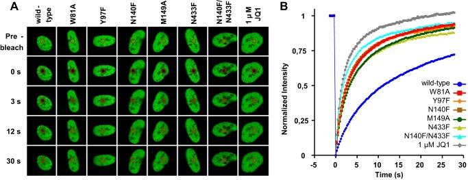 https://cdn.ncbi.nlm.nih.gov/pmc/blobs/9ecc/3979416/7c3bff7dcd23/zbc0171479310005.jpg