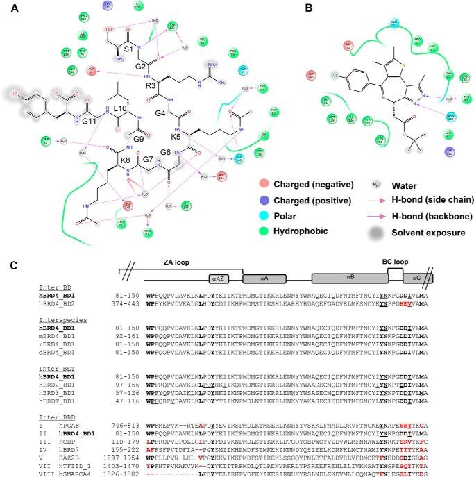 https://cdn.ncbi.nlm.nih.gov/pmc/blobs/9ecc/3979416/ac673bee154d/zbc0171479310003.jpg