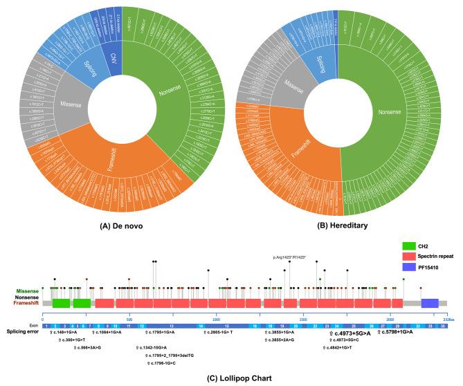 https://cdn.ncbi.nlm.nih.gov/pmc/blobs/9ecd/11318180/29bd7e39ae51/12920_2024_1973_Fig4_HTML.jpg