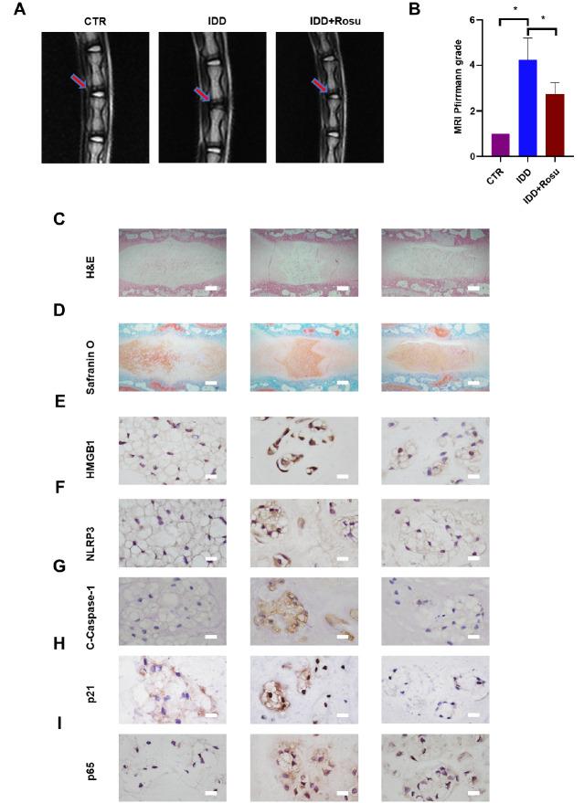 https://cdn.ncbi.nlm.nih.gov/pmc/blobs/9ed0/10281883/3b17ea13d698/ABBS-2022-546-t7.jpg