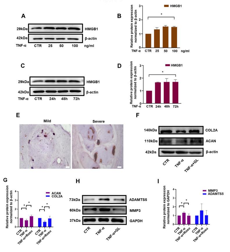 https://cdn.ncbi.nlm.nih.gov/pmc/blobs/9ed0/10281883/5e9af92d130b/ABBS-2022-546-t3.jpg