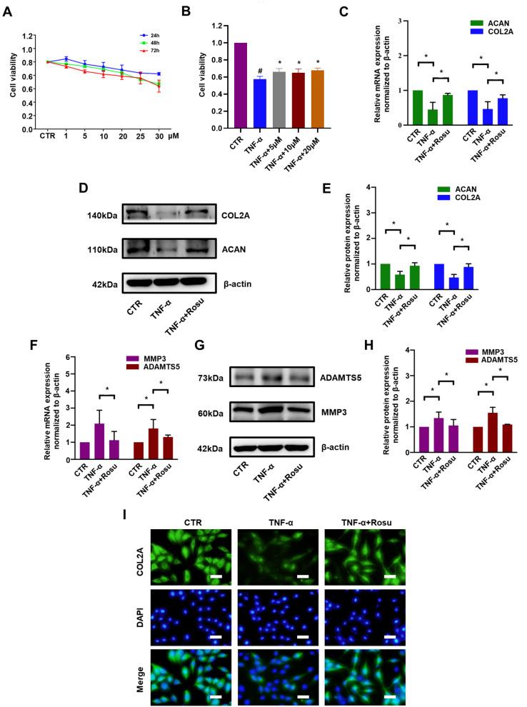 https://cdn.ncbi.nlm.nih.gov/pmc/blobs/9ed0/10281883/71578d12081b/ABBS-2022-546-t1.jpg