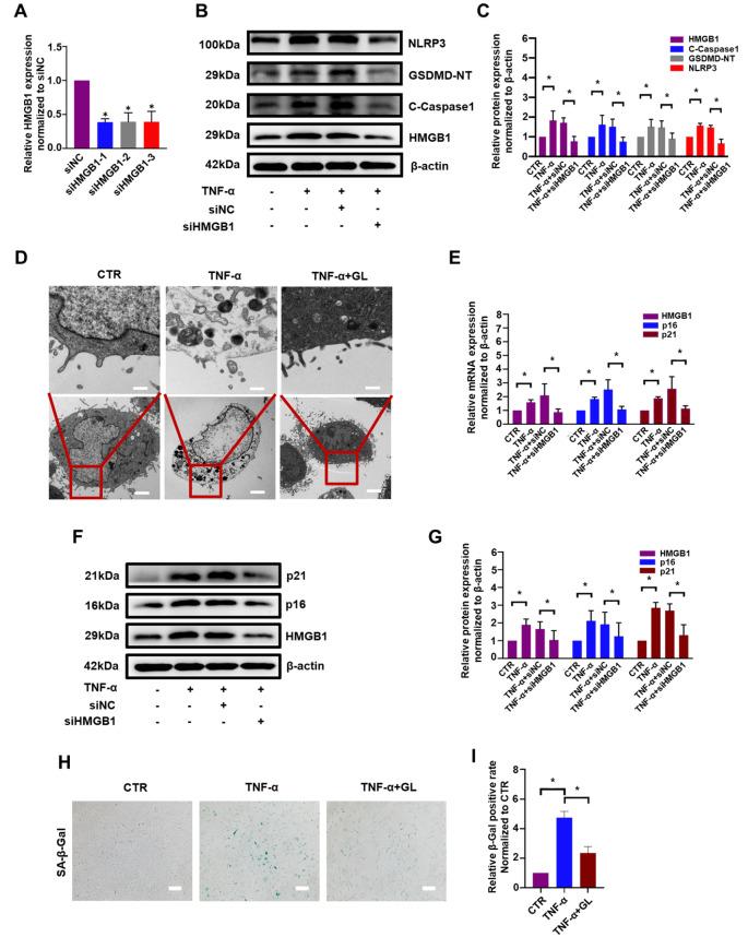 https://cdn.ncbi.nlm.nih.gov/pmc/blobs/9ed0/10281883/89509842a662/ABBS-2022-546-t4.jpg